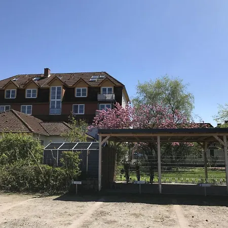 Lejlighed Immenbarg, Alter Strom *